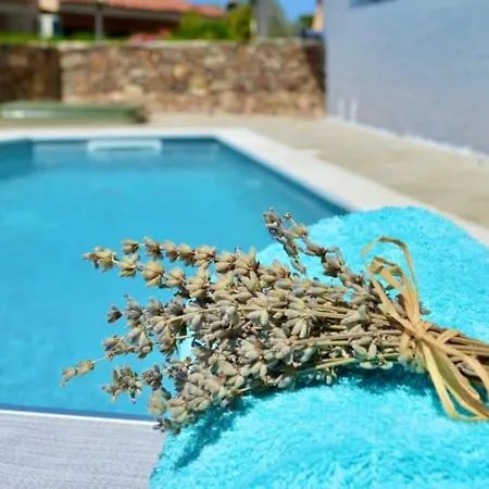 Ferienhaus Olas, 500m From The Sea With Private Pool Agrustos
