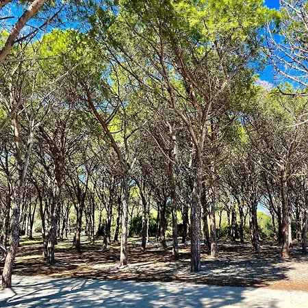 Hébergement de vacances Olas, 500m From The Sea With Private Pool