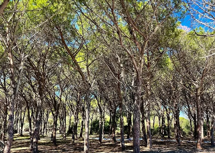 Nyaraló Olas, 500m From The Sea With Private Pool
